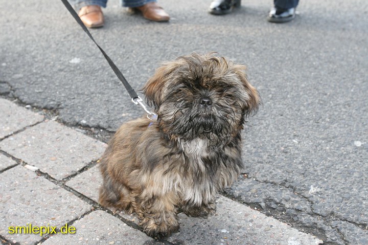 Goettingen 26.4.08 (3).jpg
